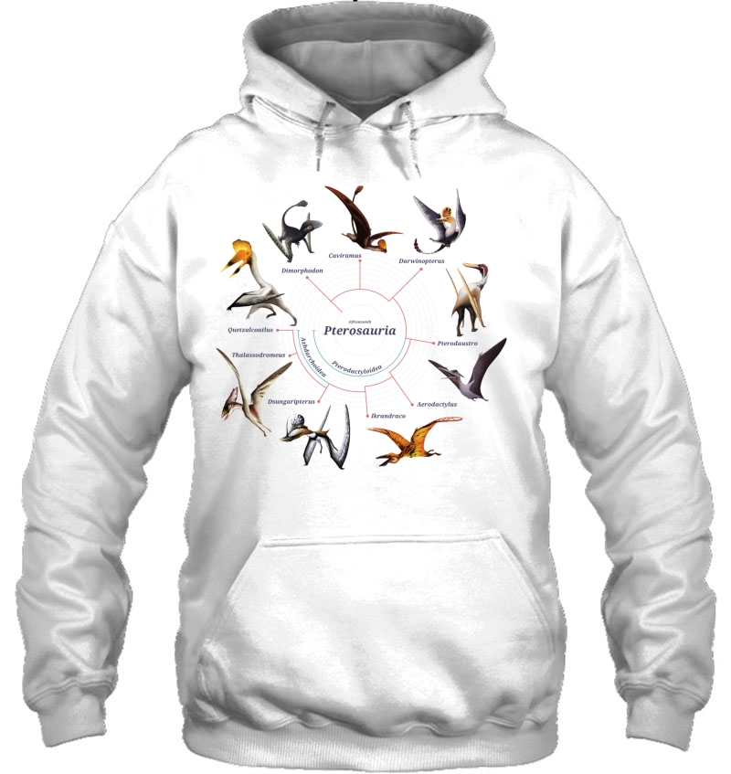 Pterosauria The Cladogram Classic Hoodie