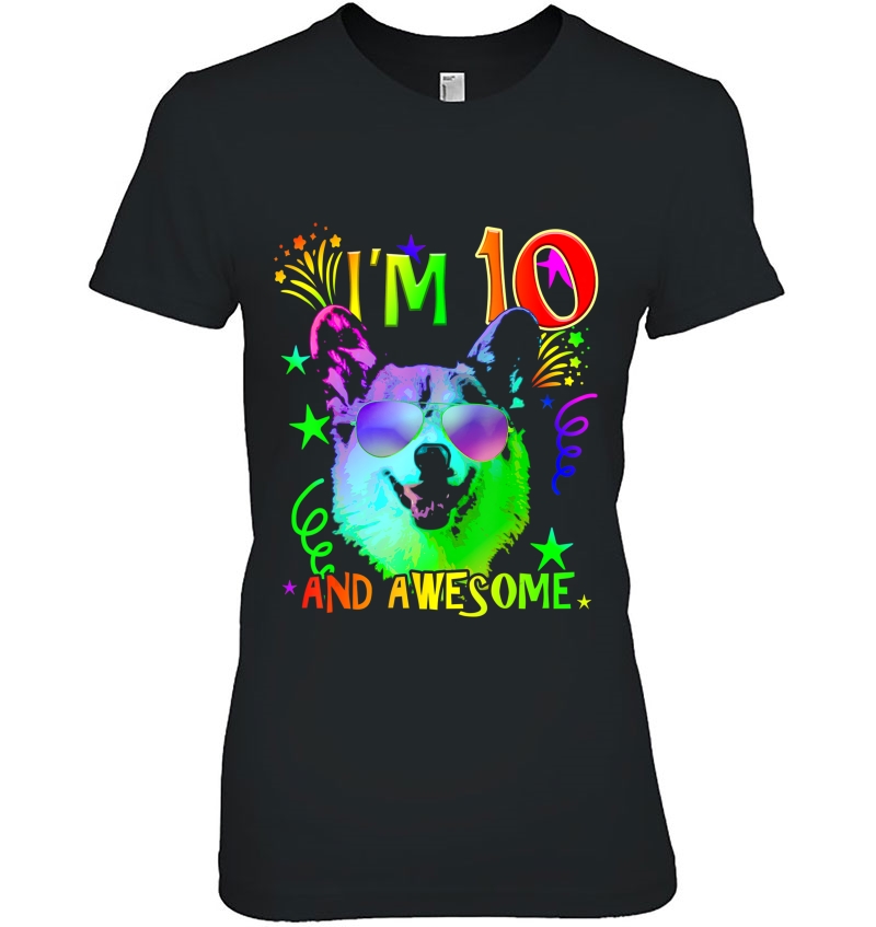 Cute Corgi Dog I'm 10 And Awesome Birthday Gift Design Hoodie