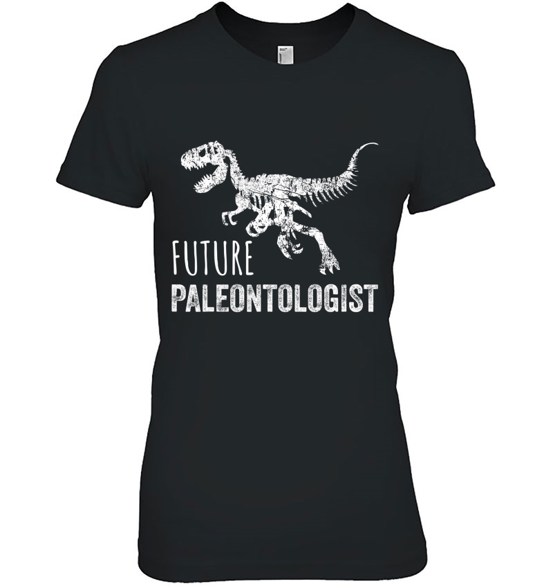 Dinosaur Fan Boy Gift Funny Future Paleontologist Hoodie