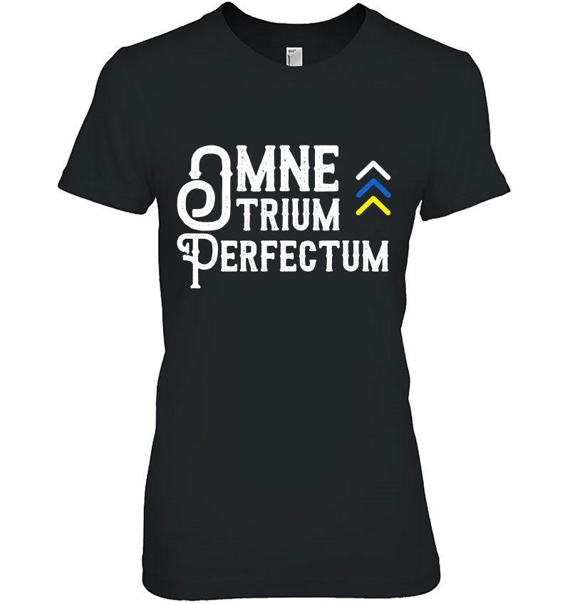 Omne Trium Perfectum Shirt, Down Syndrome Support Awareness Hoodie