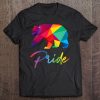 Gay Bear Pride Shirt Bears Lgbt Rainbow Flag Grizzly Gift Tee