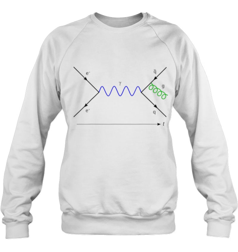 Feynman Diagram Physics Equation Sweatshirt