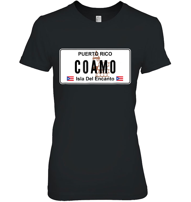 Coamo - Puerto Rico Pride Pr License Plate Hoodie