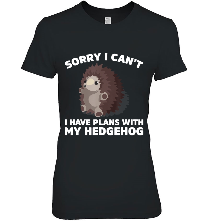 Sorry I Can't I Have Plans With My Hedgehog Funny Pe Hoodie