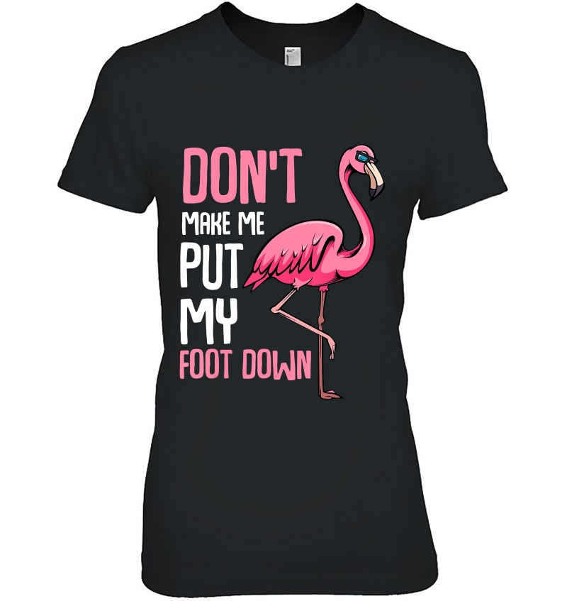 Don't Make Me Put My Foot Down Funny Pink Flamingo Animal Hoodie