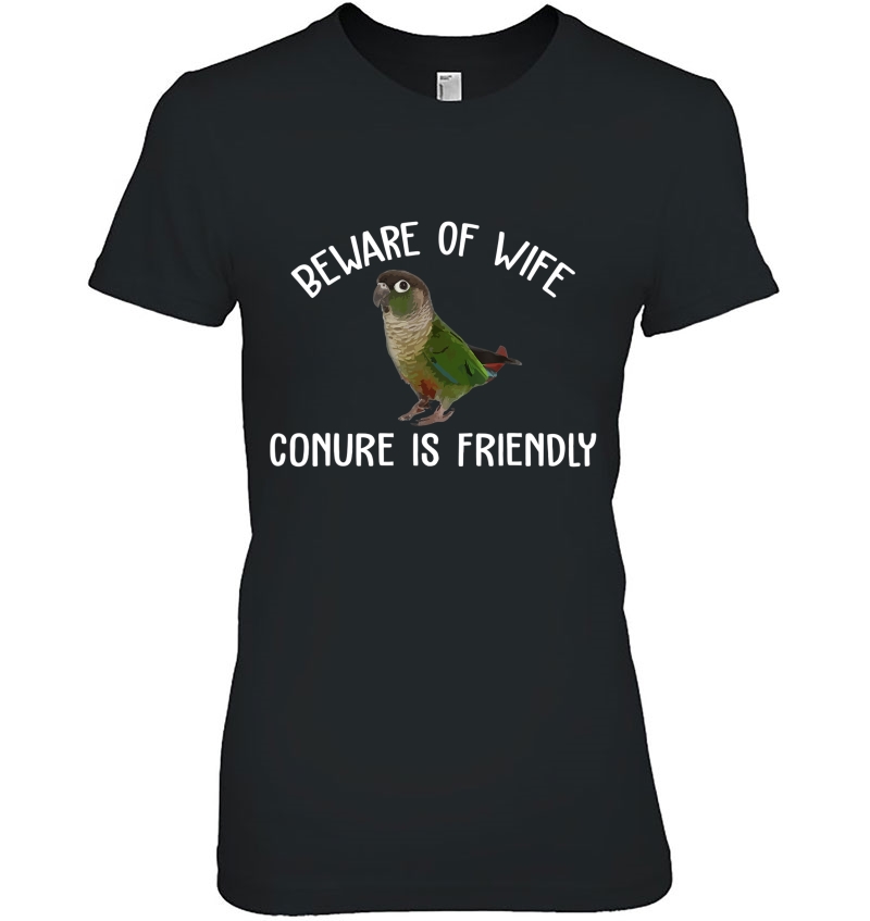 Green Cheek Conure Shirt, Beware Of Wife And Conure Parrot Hoodie