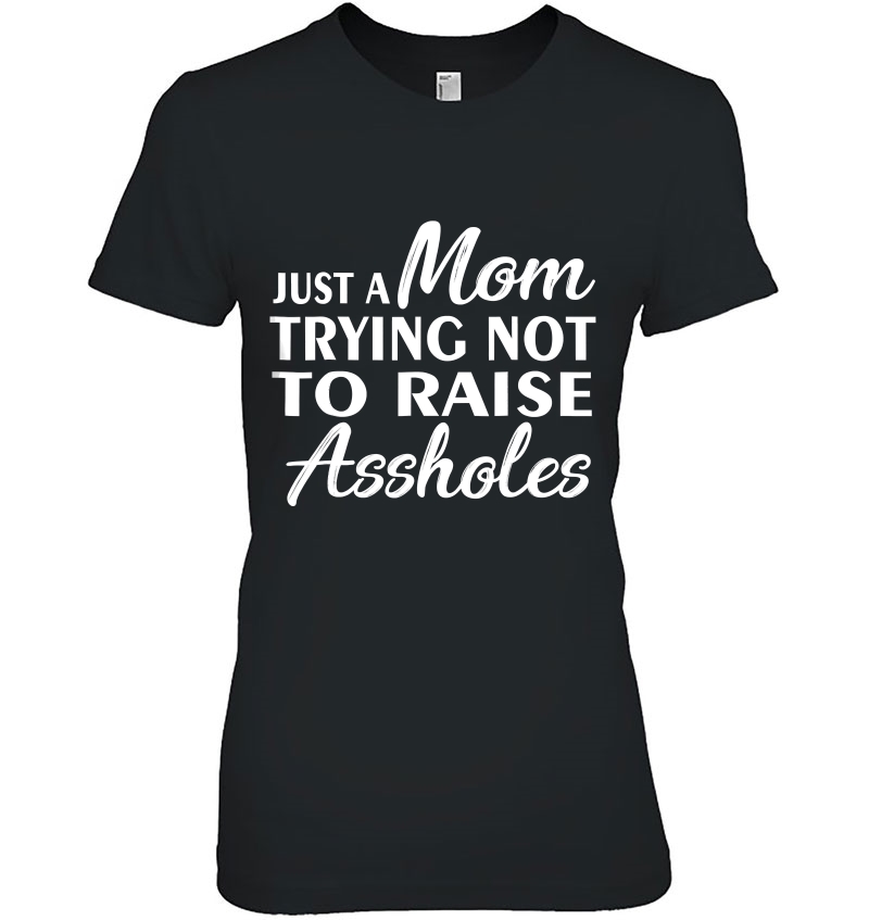 Just A Mom Trying Not To Raise Assholes Hoodie