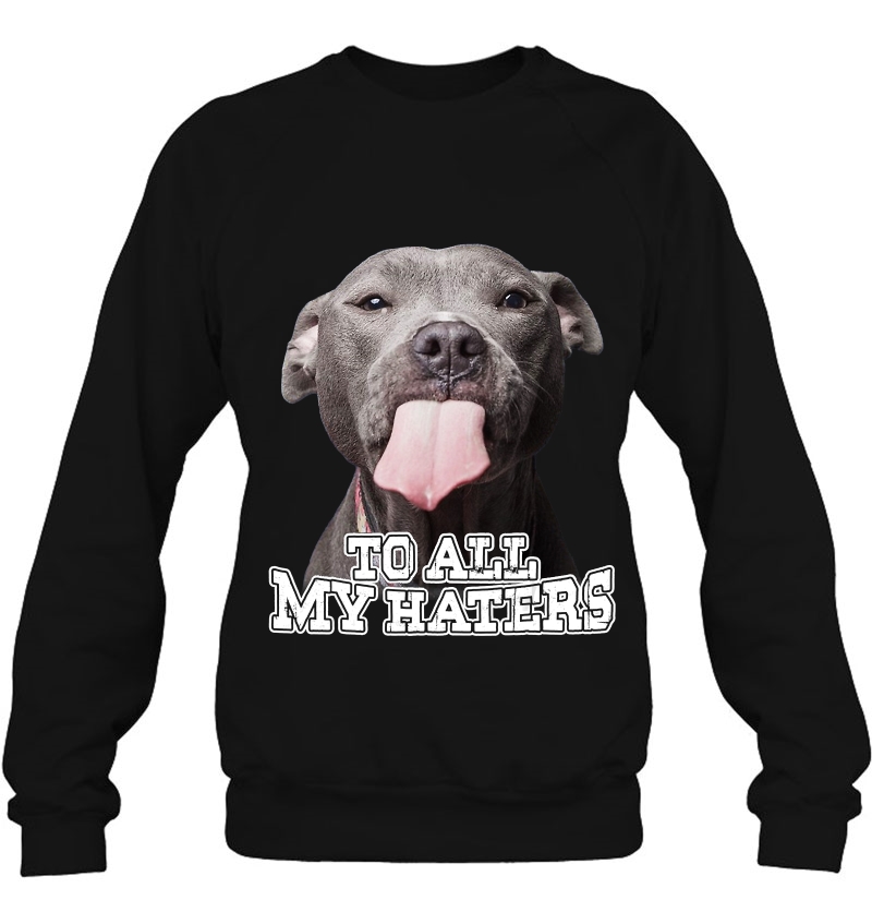 To All My Haters Funny Pit Bull Dog Lover Mugs