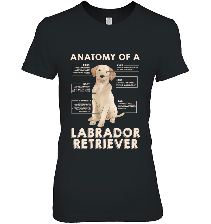 Funny Anatomy Of A Labrador Retriever Tops Hoodie