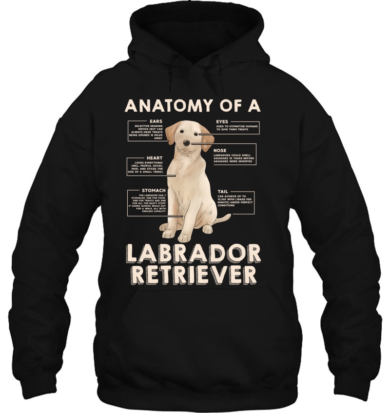 Funny Anatomy Of A Labrador Retriever Tops Mugs