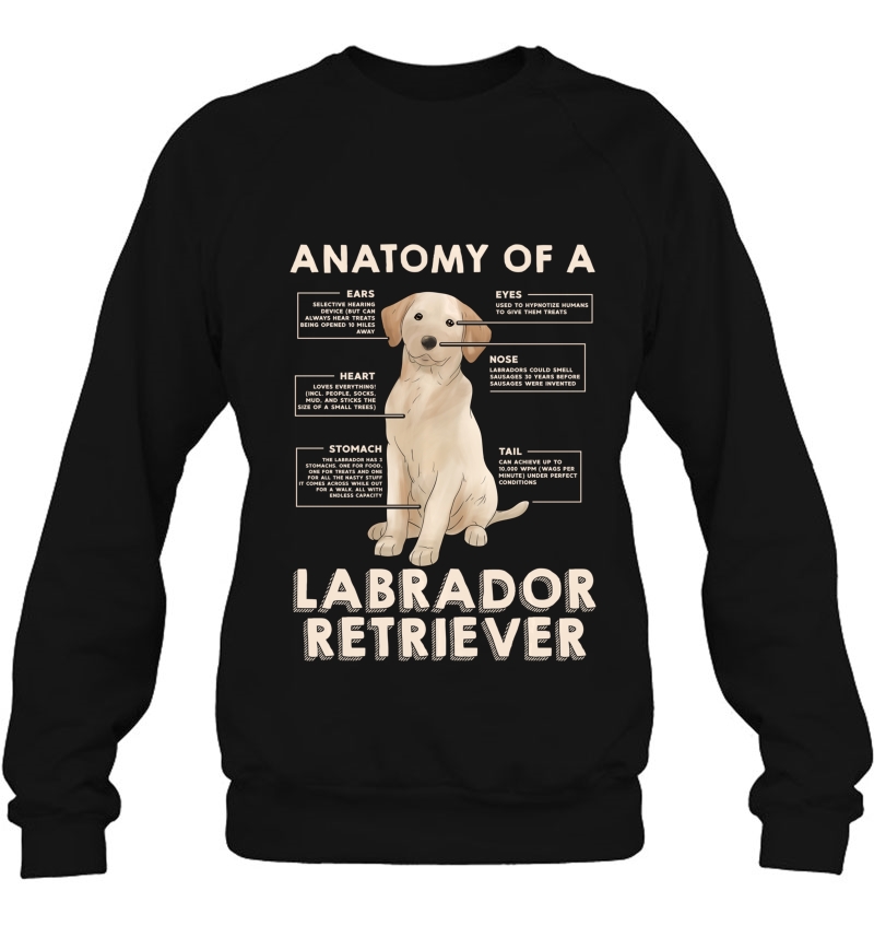 Funny Anatomy Of A Labrador Retriever Tops Mugs