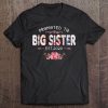 Promoted To Big Sister Est 2020 Firts New Mother's Day Shirt Tee