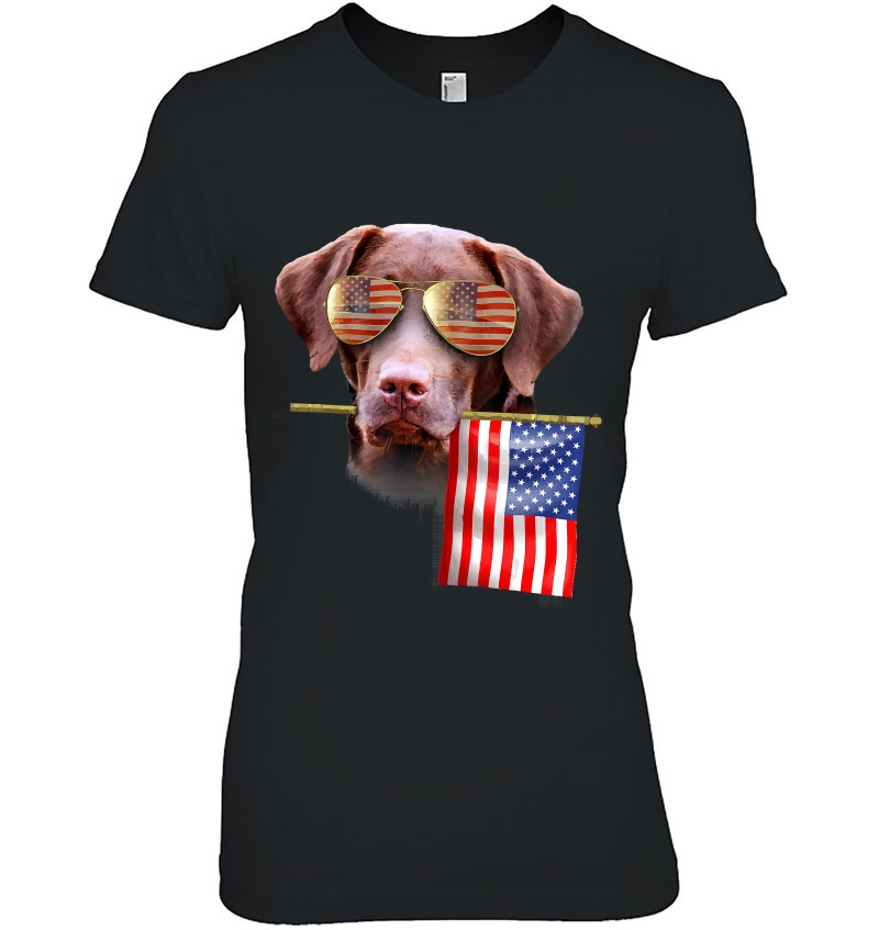 4Th Of July Shirt Fun American Flag Labrador Dog Lover Gift Hoodie