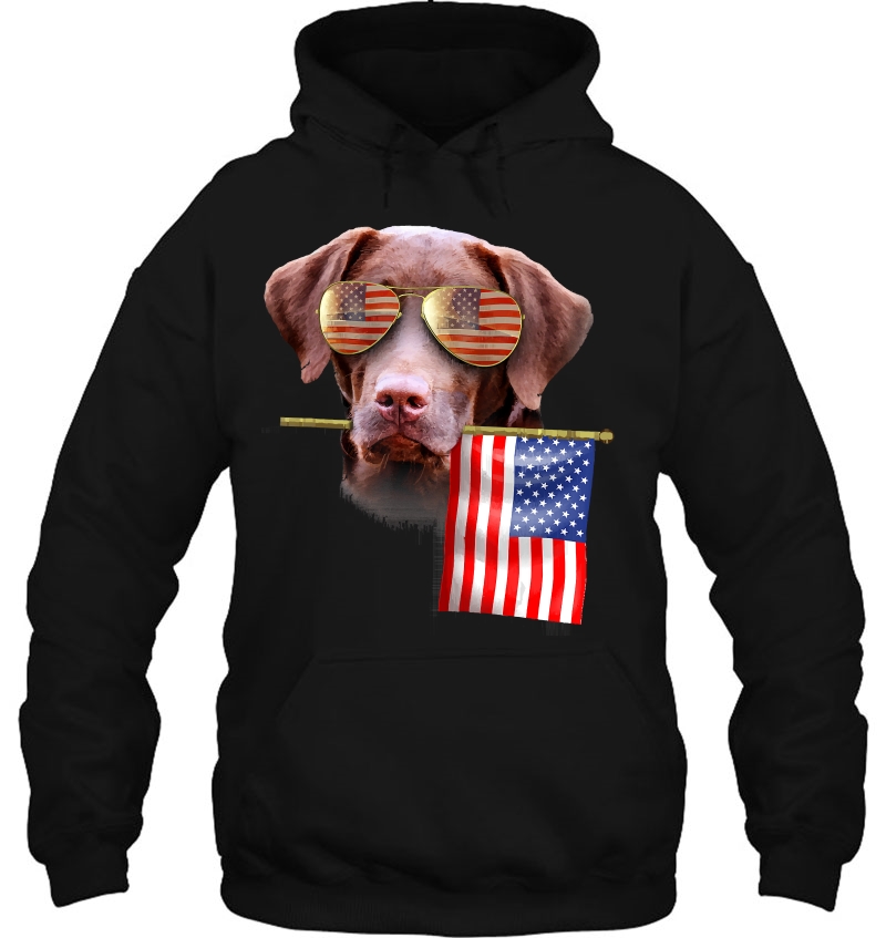 4Th Of July Shirt Fun American Flag Labrador Dog Lover Gift Mugs