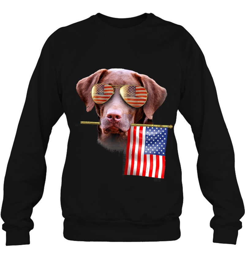 4Th Of July Shirt Fun American Flag Labrador Dog Lover Gift Mugs