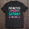 Promoted To Gramma Est. 2020 First Time New Grandma Tee