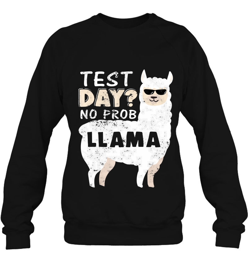 Test Day No Prob Llama Funny Mugs