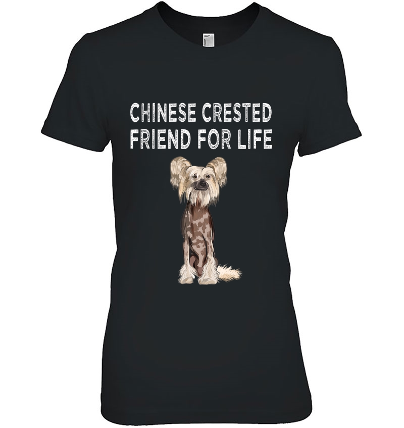 Chinese Crested Friend For Life Dog Friendship Hoodie