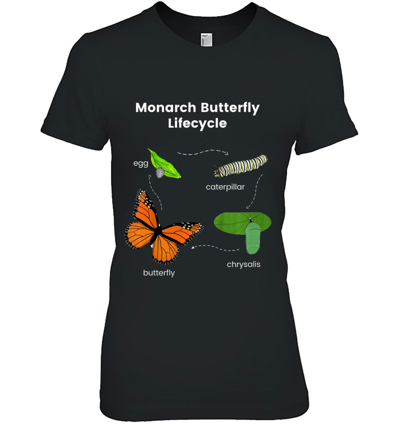 Kids Monarch Butterfly Lifecycle - Color Set 1 Hoodie