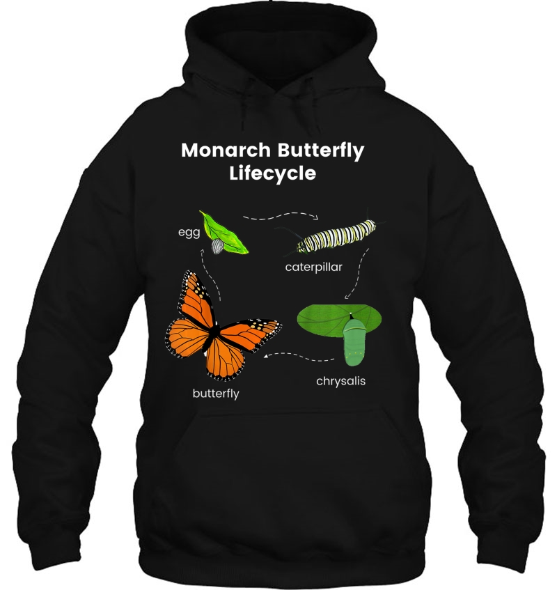 Kids Monarch Butterfly Lifecycle - Color Set 1 Mugs