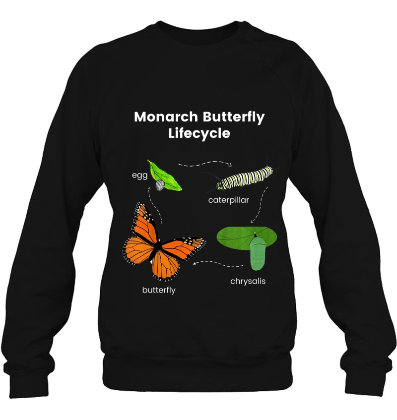 Kids Monarch Butterfly Lifecycle - Color Set 1 Mugs