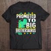 Promoted To Big Brother Boys Dinosaur Pregnancy Announcement Tee