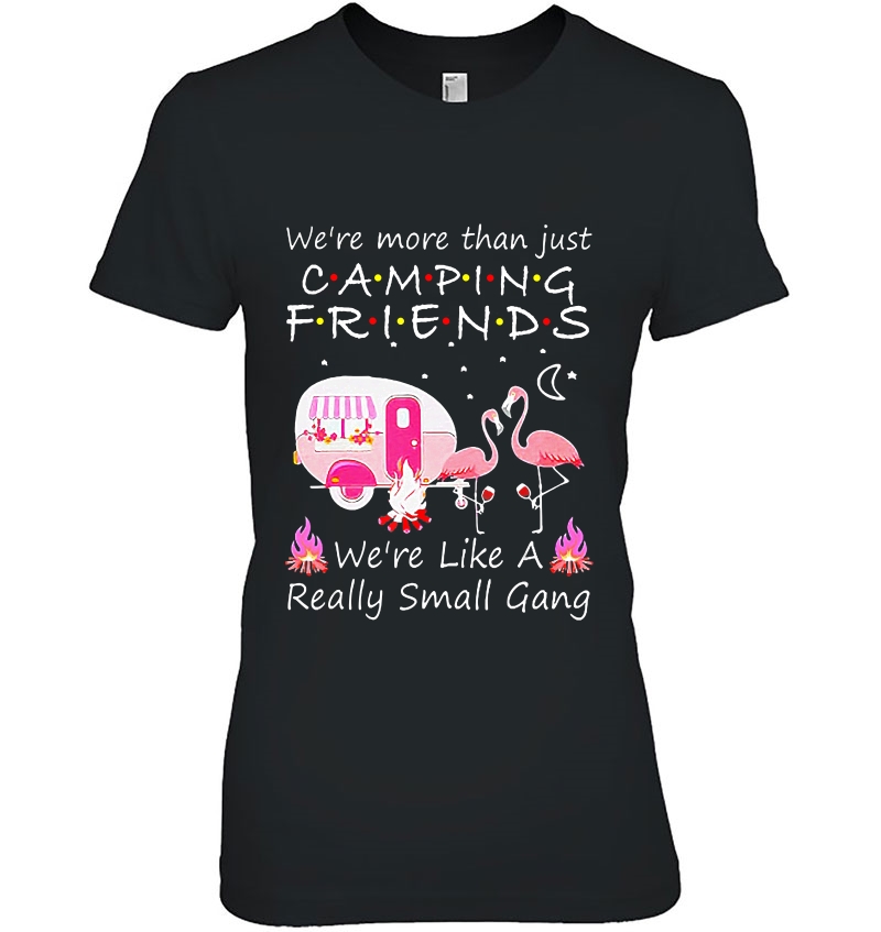 We're More Than Just Camping Friends Pink Flamingo Hoodie