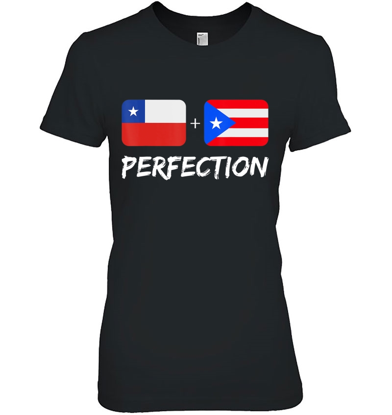 Chilean Plus Puerto Rican Perfection Heritage Flag Hoodie