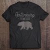 Gatlinburg Tennessee Bear Souvenir Retro Family Vacation Tee