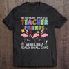 We're More Than Teacher Friends Like A Really Small Gang Tee