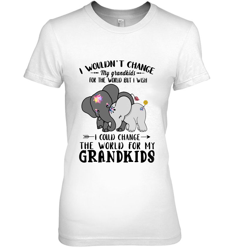 I Wouldn't Change My Grandkids For The World Elephant Version Hoodie