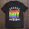 Sounds Gay Funny Pride Lgbt Gift Lesbian Trans Gift Pullover Tee