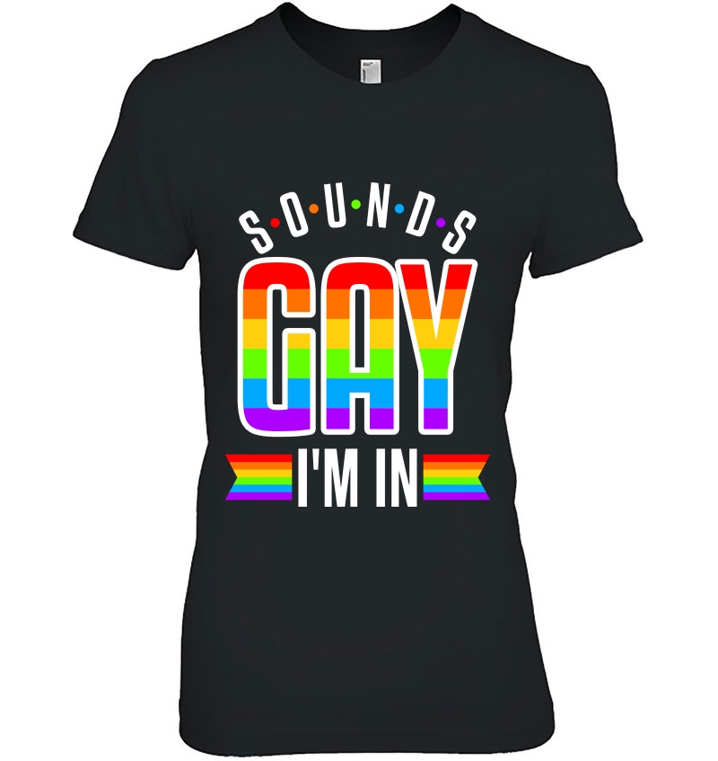 Sounds Gay Funny Pride Lgbt Gift Lesbian Trans Gift Pullover Ladies Tee
