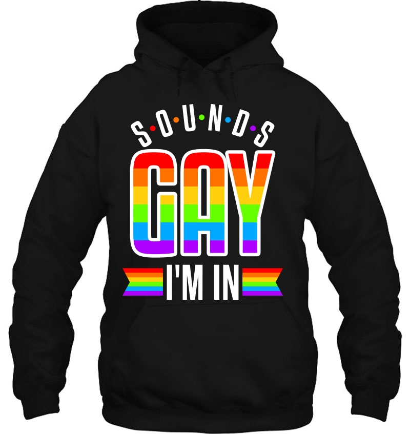 Sounds Gay Funny Pride Lgbt Gift Lesbian Trans Gift Pullover Hoodie