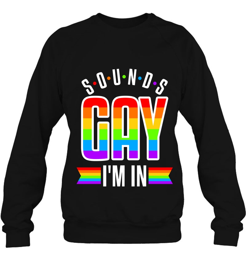 Sounds Gay Funny Pride Lgbt Gift Lesbian Trans Gift Pullover Sweatshirt