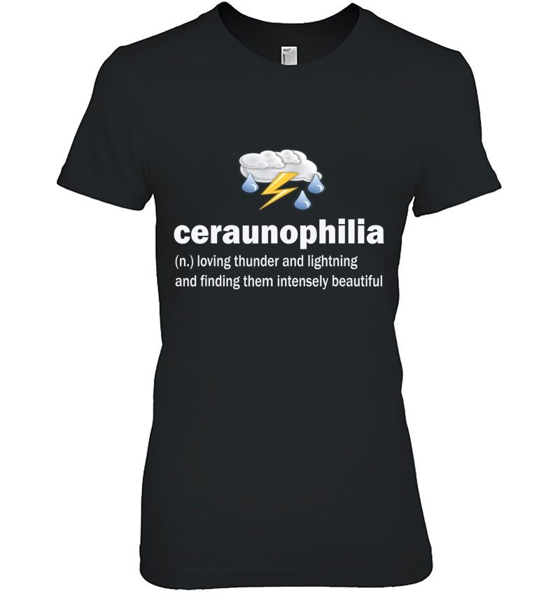 Ceraunophilia Love Thunderstorms Weather Gift Hoodie