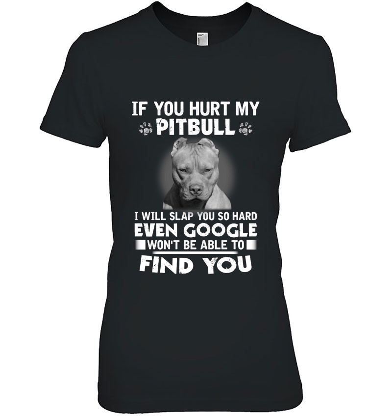 If You Hurt My Pitbull I Will Slap You So Hard Grumpy Pitbull Version Hoodie