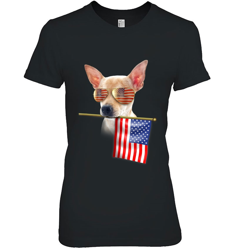 4Th Of July Shirt Fun American Flag Chihuahua Dog Lover Hoodie