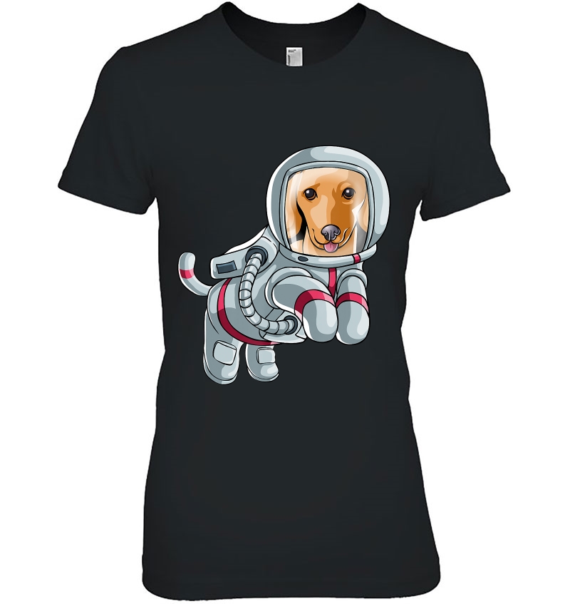 Astronaut Space Dachshund Wiener Dog Gift Cosmic Hoodie