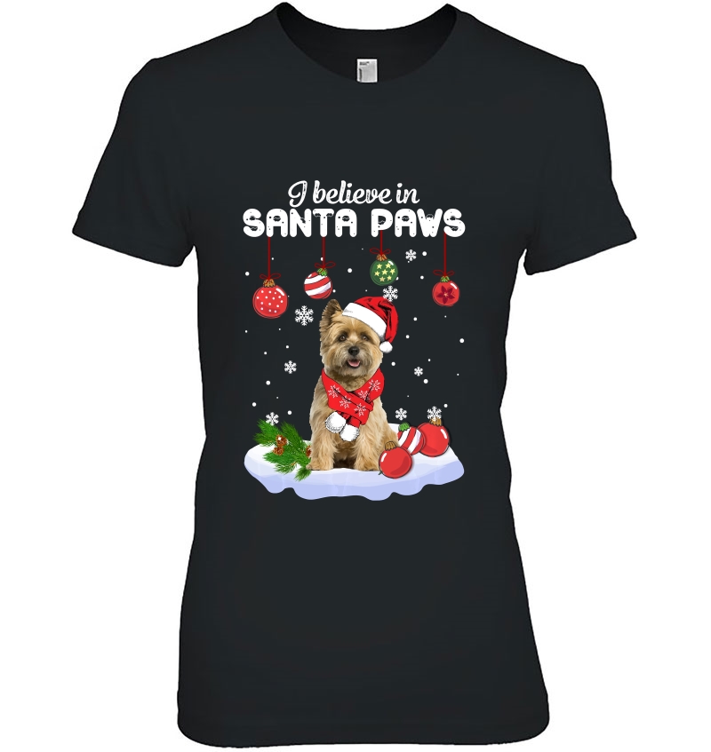 I Believe In Santa Paws Cairn Terrier Gift Hoodie