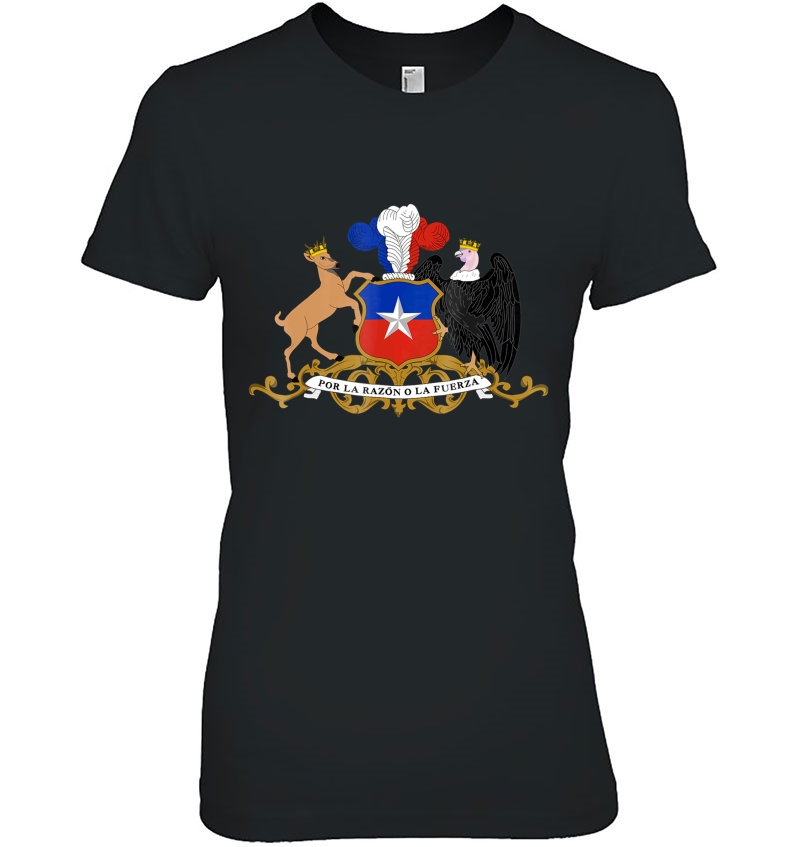 Chile Coat Of Arms Tee Flag Souvenir Santiago Hoodie