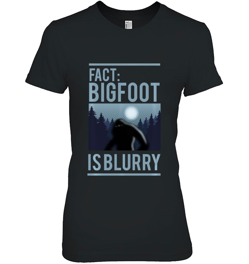 Fact Bigfoot Is Blurry Wilderness Ape Creature Gift Hoodie