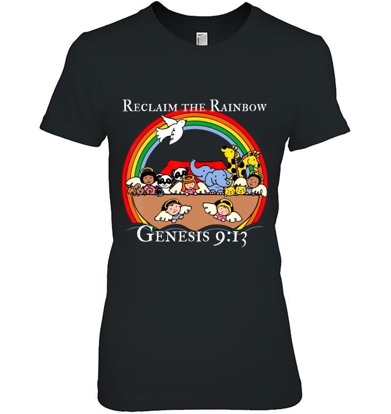 Reclaim The Rainbow Genesis 913 Noah's Ark Christian Hoodie