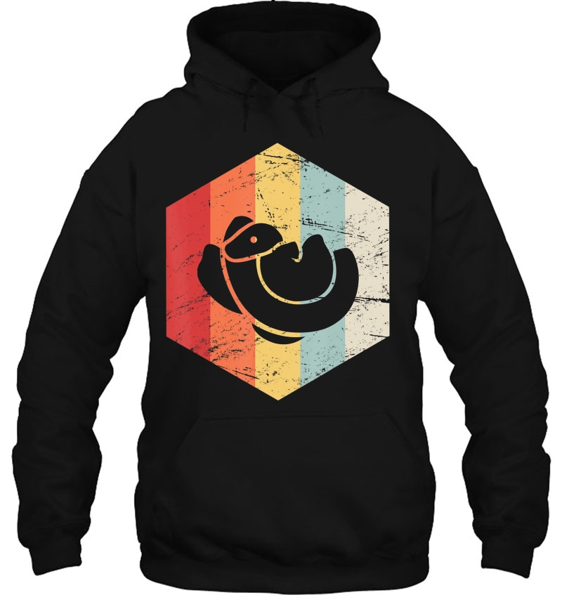 Vintage Retro Ball Python Hoodie