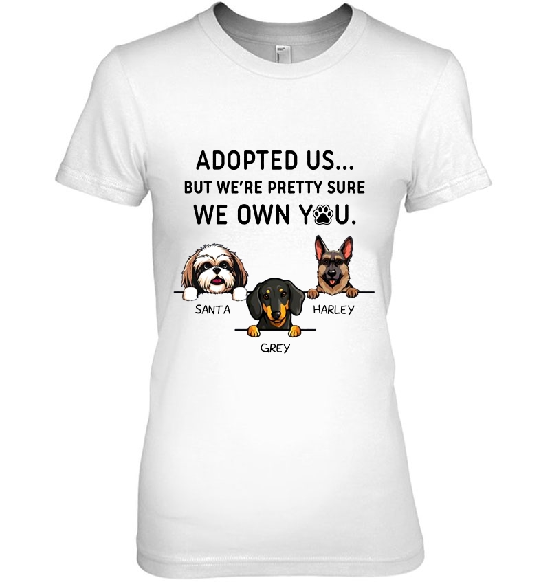 Adopted Us But We're Pretty Sure We Own You Santa Grey Harley Hoodie