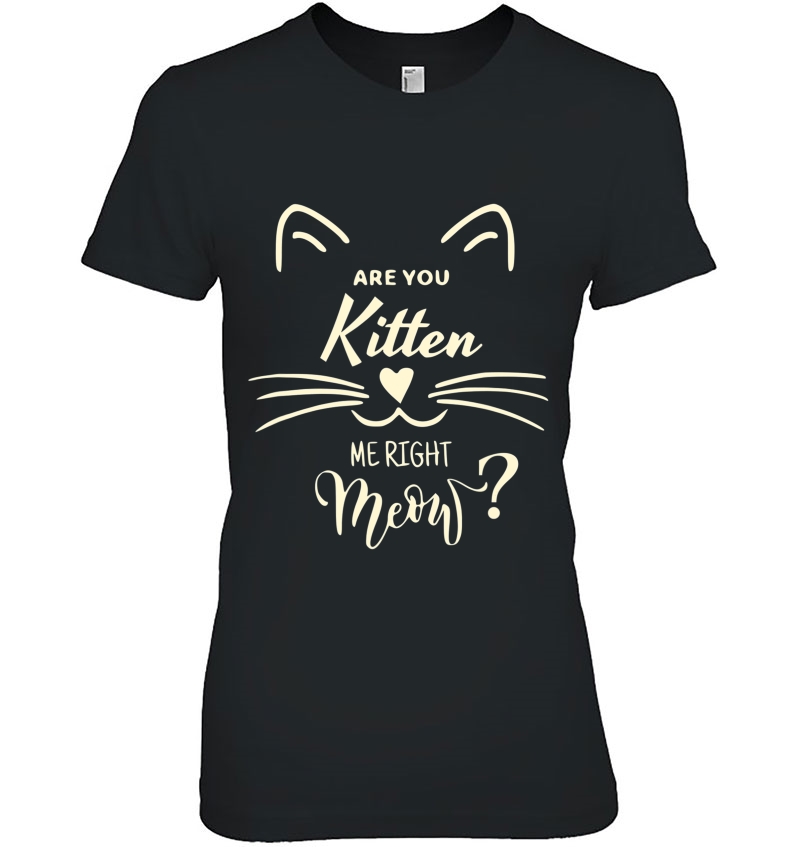 Are You Kitten Me Right Meow Funny Cat Lovers Gifts Hoodie