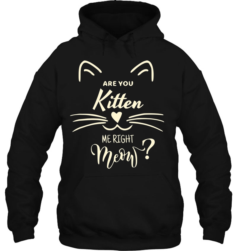 Are You Kitten Me Right Meow Funny Cat Lovers Gifts Mugs