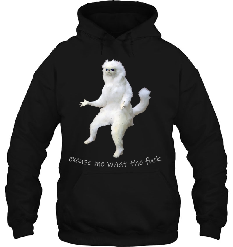 Excuse Me What The Fuck Shirt Persian Cat Room Guardian Meme Mugs