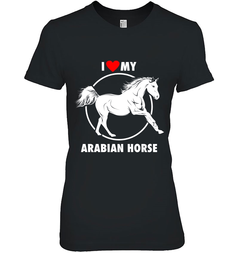 I Love My Arabian Horse - Best Arab Horse Gifts Hoodie