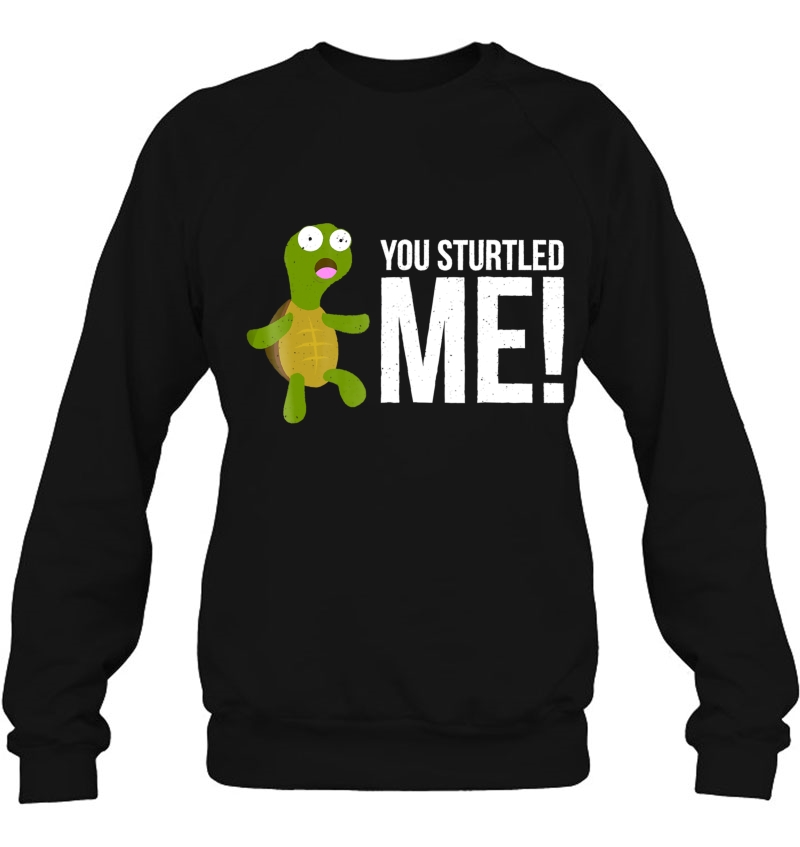 You Sturtled Me! Funny Turtle Pun Mugs